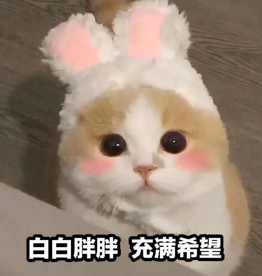 jsp文件怎么转换word（JavaScript PDF blob转换为Word docx方法）