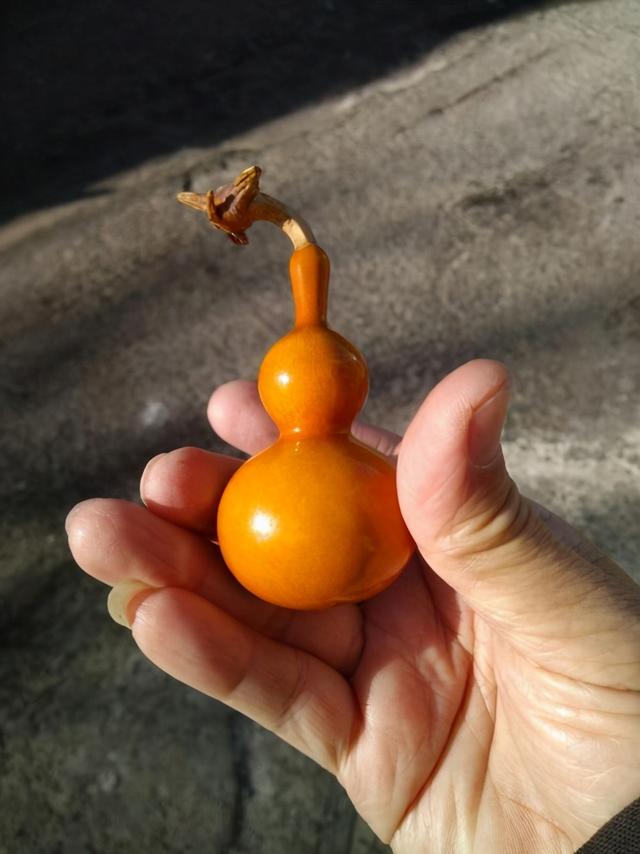 小葫芦怎么盘出包浆，葫芦挂件风水（想盘出收藏级包浆的文玩葫芦吗）