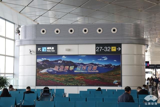 青岛航空怎么样，青岛航空属于廉航吗（初次体验青岛航空）