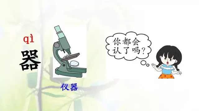 玉怎么组词，玉的组词（部编版一年级下册识字8《人之初》知识点）