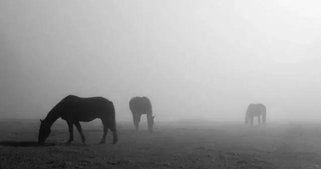 心理学十大定律，100个微动作读心术（男人和女人都难以抗拒的十大心理学定律）