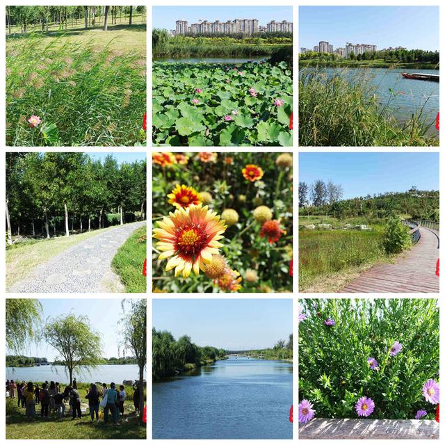 山药红豆饼做法窍门，孩子要开学了