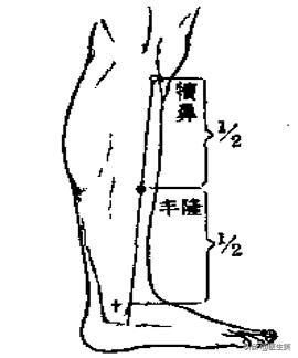 刮痧的作用和功效 刮痧是泄气还是补气，刮痧的作用和功效（湿气的故事——掌握居家健脾祛湿小妙招）