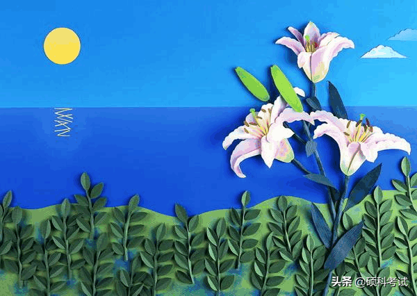 纸版画制作的方法与步骤，纸版画的制作方法有哪些（创意手工剪贴画制作方法与步骤）