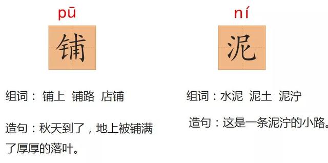 金黄的什么填词语，金黄的什么填空（部编版三年级语文上册第5课《铺满金色巴掌的水泥道》图文讲解）