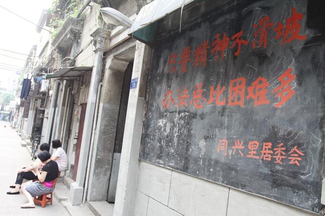 养羊的利润与成本，养羊年利润（一年能有多少利润）