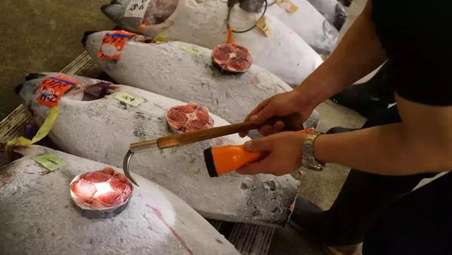 海葵汤怎么做好吃海葵汤的吃法,海葵鸡蛋汤的做法(海星、海葵、海肠……它们竟然都能吃) 海葵汤怎么做好吃海葵汤的吃法,海葵鸡蛋汤的做法(海星、海葵、海肠……它们竟然都能吃)