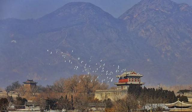 山海关旅游景点门票，山海关旅游景点和门票（秦皇岛多家景区11月20日恢复开园）