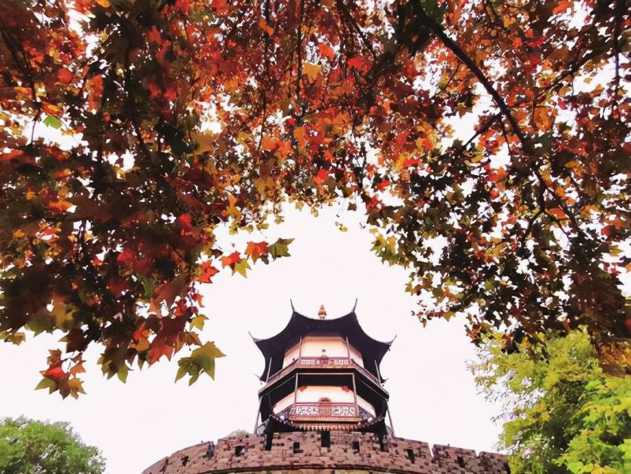 高邮市属于哪个市(扬州市哪个镇最富)