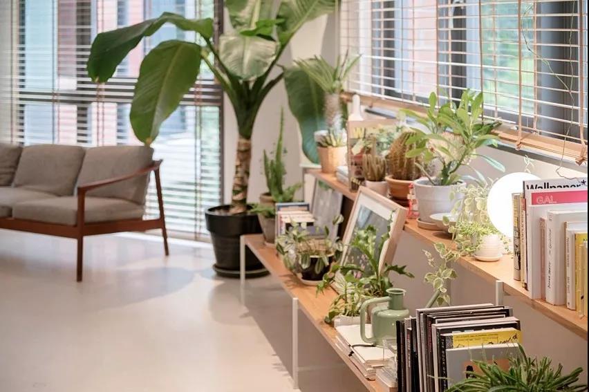 tvoc1.5是不是严重超标，tvoc0.052算超标吗（苯、TVOC也不容忽视）