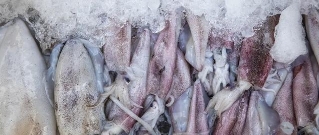 墨鱼的功效与作用，墨鱼的功效与作用及食用方法（墨鱼滋补肝肾）