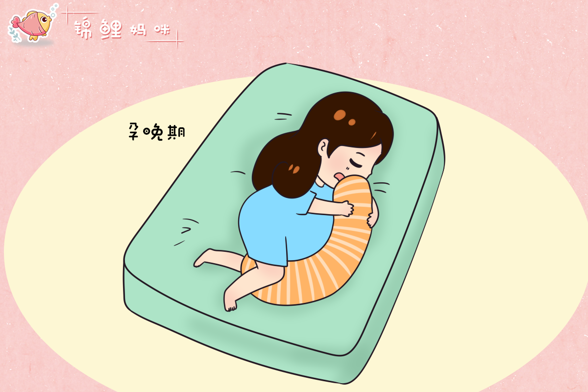 孕期不同阶段,应该采取不同的睡姿