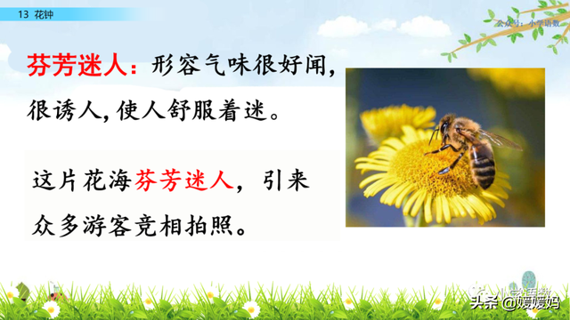 芬芳迷人的意思，芬芳迷人是什么意思解释一下（三年级下册语文第13课《花钟》图文详解及同步练习）