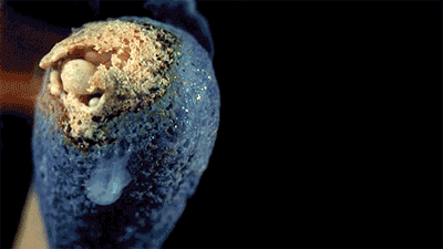 化学反应有哪些，五大类化学反应（超酷炫的44个化学反应动图）