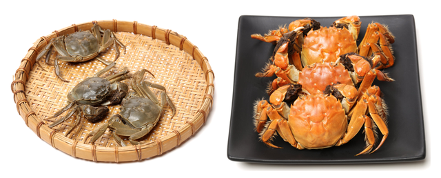 螃蟹煮多久能熟，螃蟹冷水下锅煮多久能熟（螃蟹：我熟了，也红了）