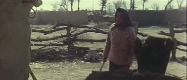 电影女儿谷剧情介绍，女儿谷大结局什么（这部国产禁片终于被找到）