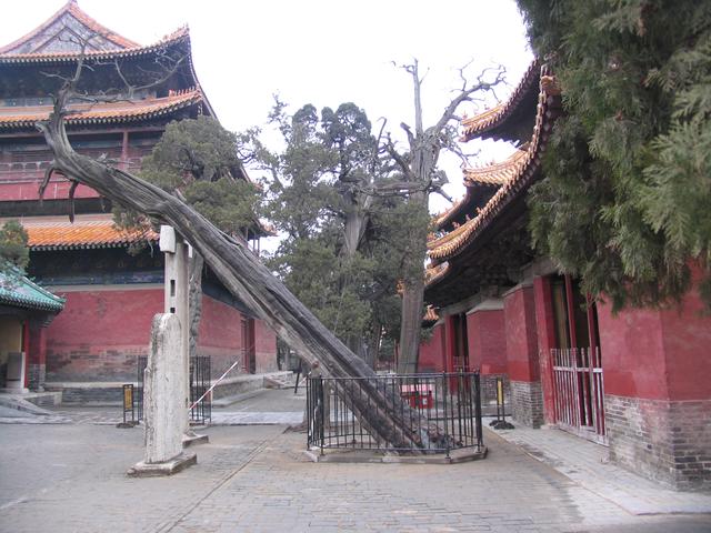 孔府的介绍，孔府的介绍作文（探访曲阜孔庙、孔府和孔林）