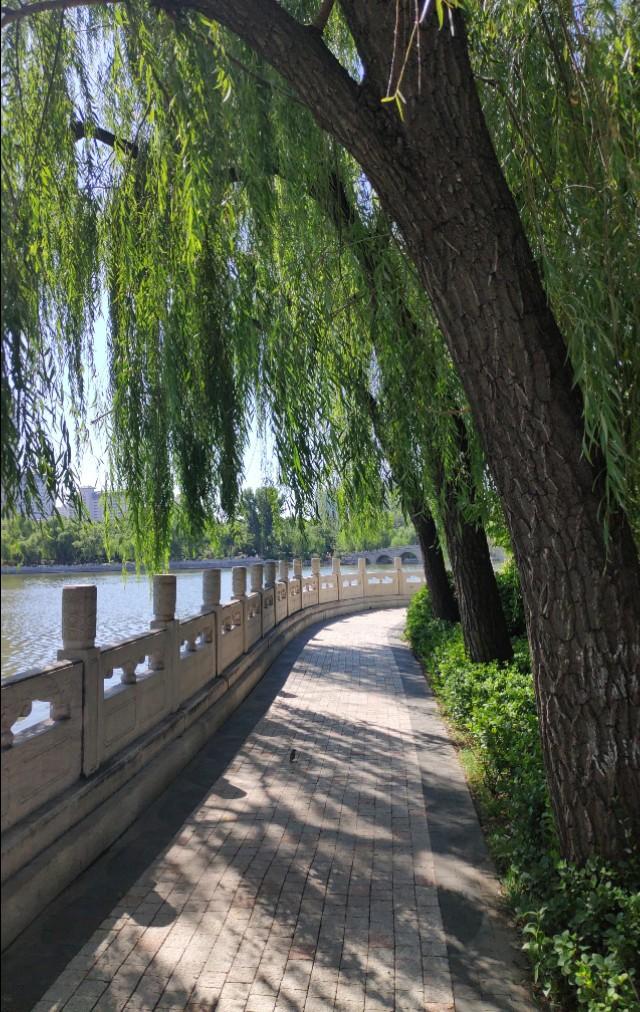 太原迎泽公园在哪儿，太原市内最大公园