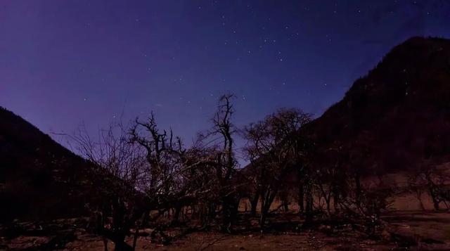 川西北花海风景，两天一夜川西秘境之旅