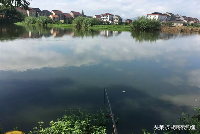 红鲫鱼怎么样饲养，红鲫鱼养殖技术（你不知道的钓鱼冷知识<4>）