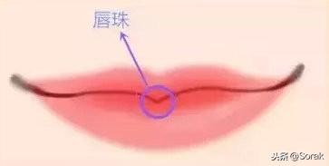 琵琶骨和蝴蝶骨的区别，蝴蝶骨是什么（你拥有这些美人标志吗）