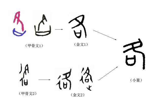 恬字的甲骨文图片