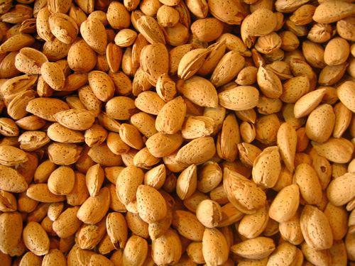 乌鲁木齐特产有哪些特产，乌鲁木齐有哪些特产美食（唐书文中载：偏桃出波斯国）