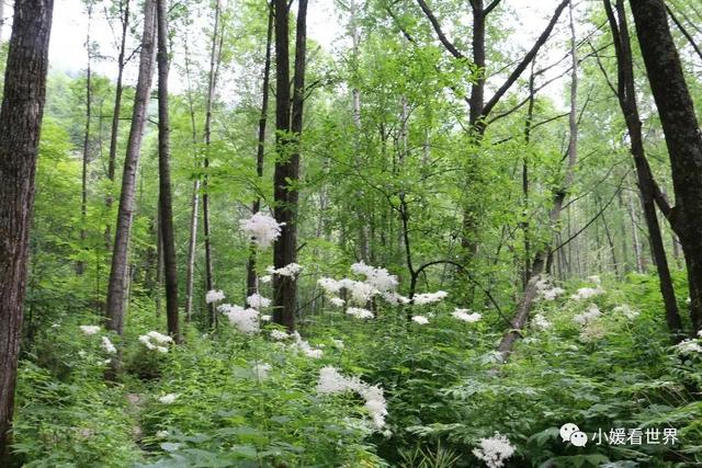 牡丹江有什么好玩的地方，敦化有什么好玩的地方（牡丹江柴河小九寨）