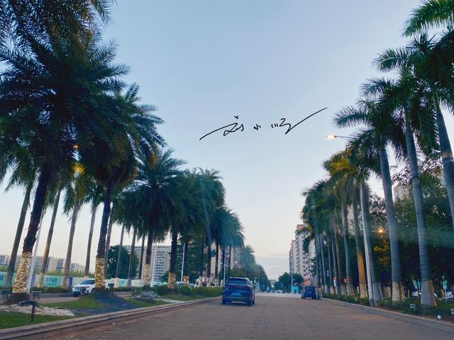 白云国际机场位于哪个区，白云机场在白云区吗（广州名字最好听的郊区）