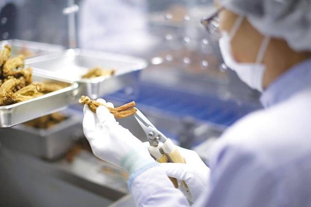 买红参怎么挑选 红参怎么保存最好，买红参怎么挑选（长辈滋补最佳红参怎么挑）