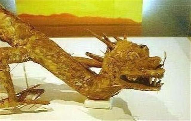 古老的东方有一条龙，龙的传人原唱是谁（专家：至少存在上亿年）