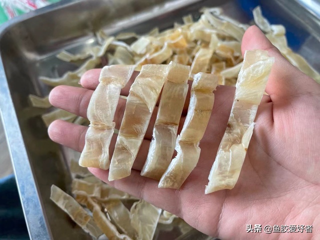 鱼胶是什么，鱼胶是什么原料制成的（学会这些买鱼胶再也不怕被坑）
