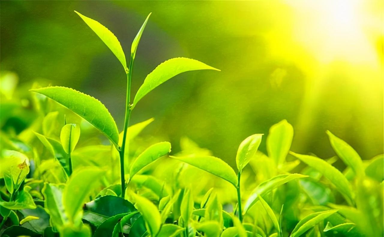 有何深意?-质信十强榜