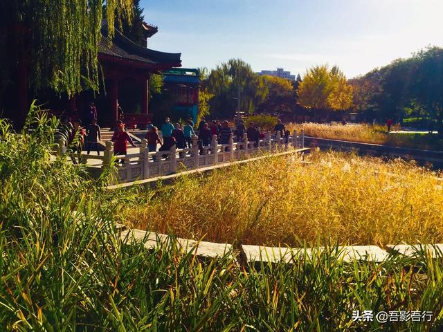 元大都遗址位于现在哪里，元大都遗址位于现在的哪个城市（遗迹众多、秋色醉人、晨跑、遛弯的生态园林）