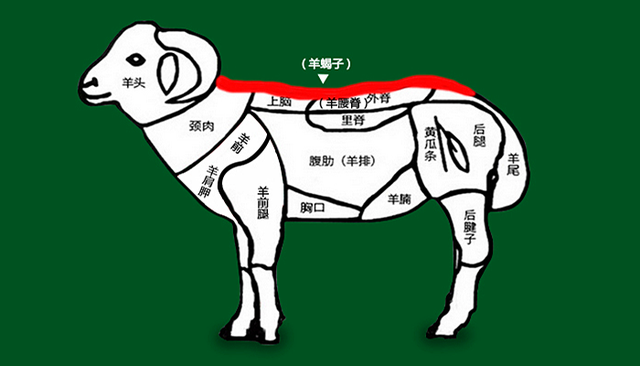 羊蝎子是羊的什么部位，羊蝎子是什么（羊蝎子是羊的哪个部位图片）