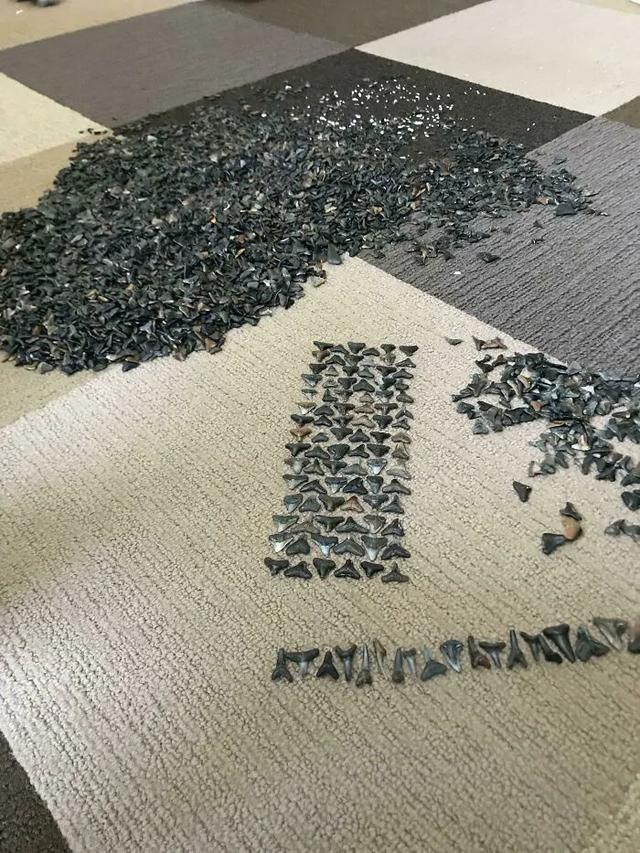 涂鸦系列之怎样画美丽海滩，关于沙滩的画怎么画（20个另类的收藏）