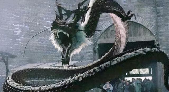 世界上有蛟龙这个动物吗，1934年辽宁营口坠龙事件中的“龙”