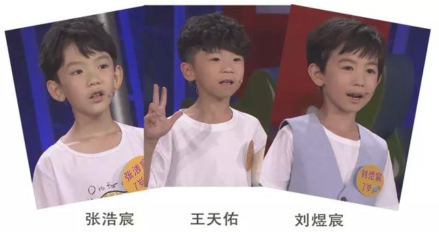 小熊猫和大熊猫，小熊猫是幼年的大熊猫吗（“小熊猫”不是小熊猫）