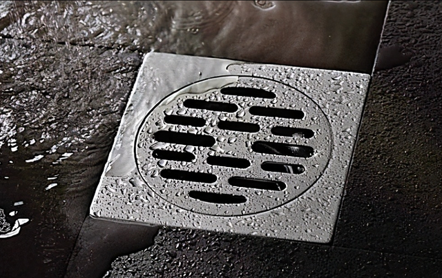 卫生间出现蟑螂的原因（了解了它的“死穴”）