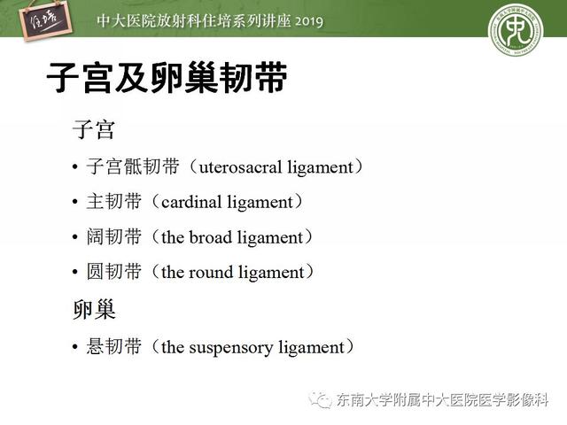 子宫颈影像解剖，子宫详细解剖及磁共振信号分析