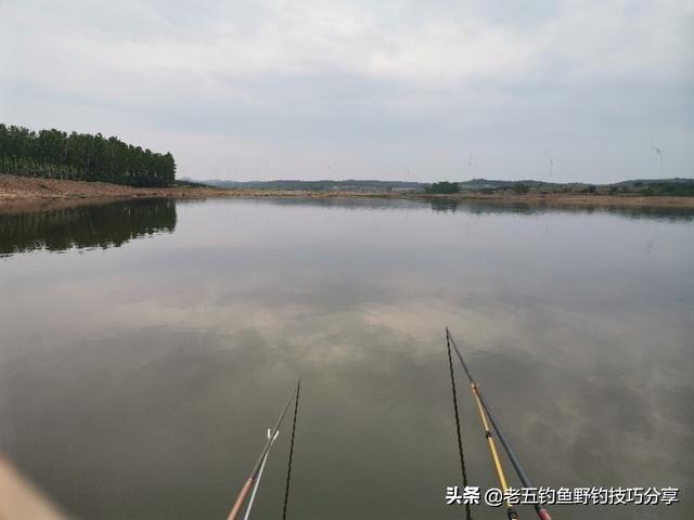 抛竿钓鱼高手秘籍：遛鱼技巧全解析，掌握技术轻松上大鱼