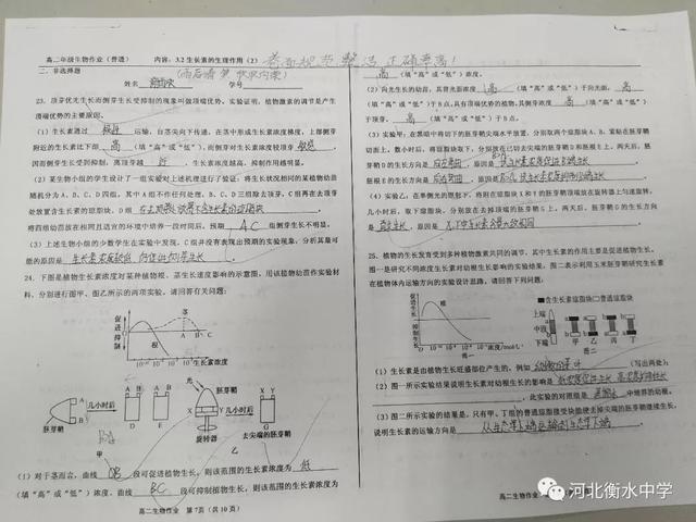 电脑中怎样把白纸变成横格纸，阅卷老师狂赞的“衡水体”书写视频曝光