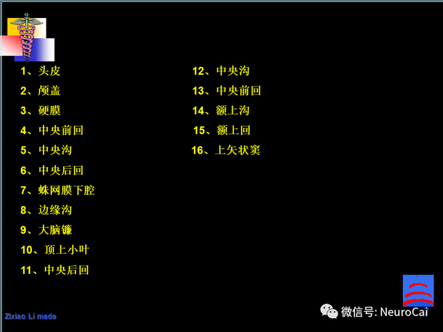 大脑结构图及功能图，人类大脑十大三维解剖图（脑局部解剖与功能图谱）