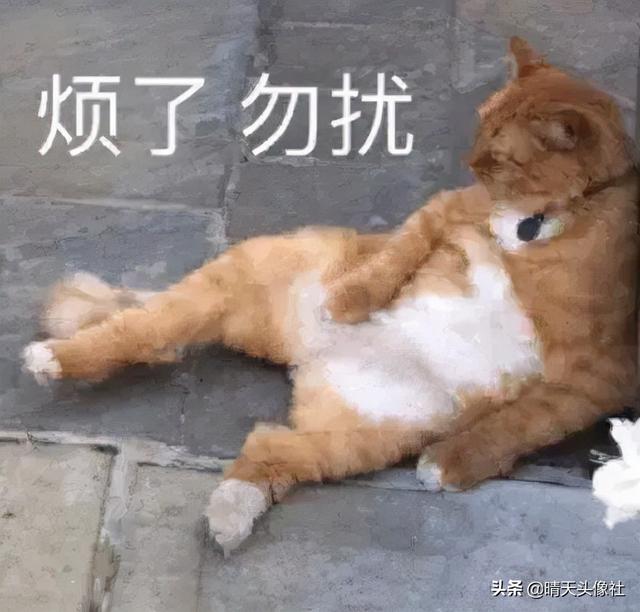 表情包啊啊啊，微信头像，表情包啊啊啊（表情包 ， 女孩就要酷一点）
