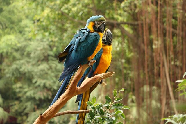 长隆水上乐园门票多少钱一张，长隆水上乐园门票多少钱一张票（国内最贵的野生动物园）