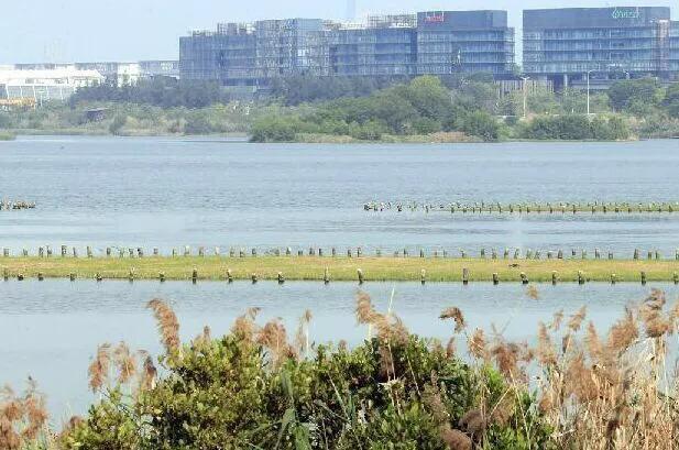 深圳石岩休闲会所（深圳十大免费特色的湖泊公园）