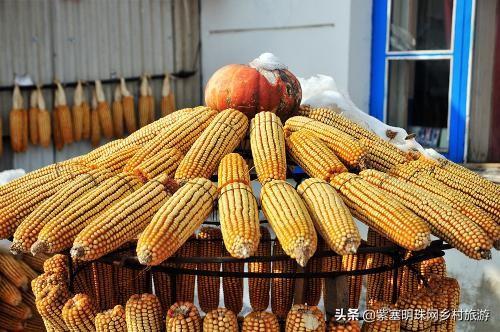 雾凇岛什么时候有雾凇，吉林省吉林市雾凇岛什么时候有雾凇（能看到雾凇的几率就是这么大）
