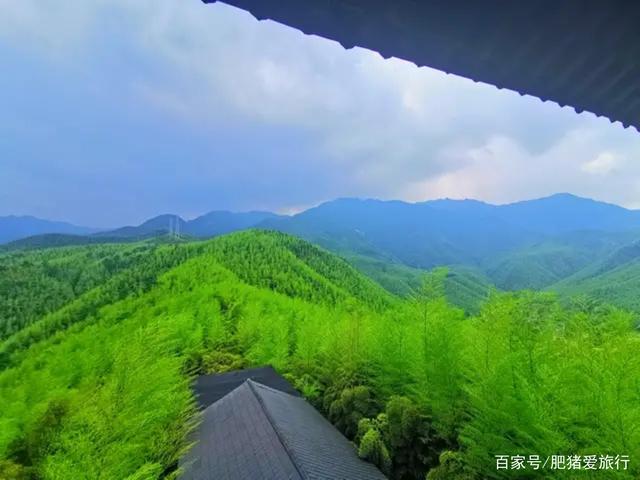 中国有几个竹海哪个更出名，中国哪个竹海最美（如今是不是还值得一去呢）