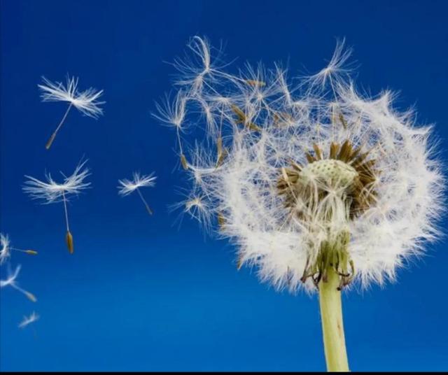 有理走遍天下无理寸步难行的意思是什么，有理走遍天下无理寸步难行是啥意思（你有理就真能走遍天下吗）