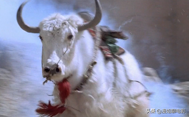 红河谷英文版歌词，红河谷歌词（2次救命之恩换来的却是15分钟内1500人被残忍屠杀）